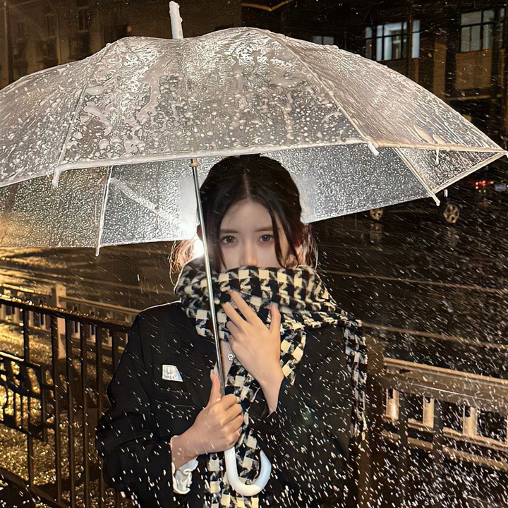 巴黎春夜